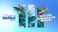 Tiket Marine Safari Bali