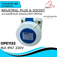 Waterproof Power Plug (Wall Mount) IP67 Scoket 16A 220V 2P+E OPE1132 WELDPLUS