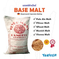 มอลต์ Pale Ale, Pilsner Malt, Vienna Malt, Munich Malt, Wheat Malt จาก Weyermann มอลต์ทำเบียร์