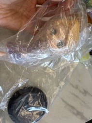 迪士尼公主 Qposket Figure 公仔