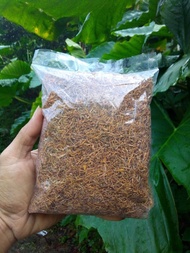 Daun Talas Beneng Kering 100 gram halus