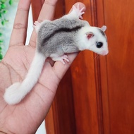 Sugar Glider Mozaik het Creamino Poshet Platinum