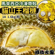 【阿成水果】老饕推薦，帶殼液態氮冷凍 馬來西亞冷凍帶殼貓山王榴槤 1A(1.6kg/粒)