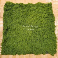 Artificial Moss Carpet Decorative Sheet Carpet Rug 100 cm x 100 cm ROT