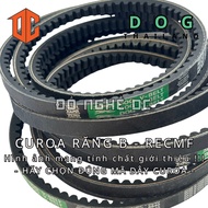 RECMF DOG Thailand belt B40 B71 B95 B85 B67 B43 B71 B58 B61 B44 B64 B81 B67 B43 B83 B41 B92 B91 B95 