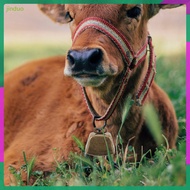 6 Pcs Cow Bell Cowbell Vintage Bells for Sporting Events Cattle Cheering Cowbells Small  jinduo