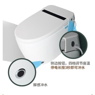 🚢New Hotel Engineering Smart Toilet Integrated Automatic Waterless Pressure Limiting Smart Toilet in Sto00