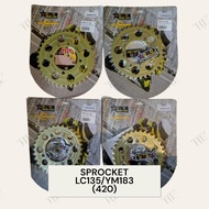 Hoyo Sprocket & Chain Ym Yamaha (420) 14T-41T