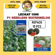ECKAT 1096 Seedless Biji Benih Tembikai Merah Tanpa Biji F1 Hybrid RED Watermelon Seed (10 Seeds Rep