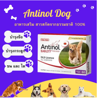 EXP:10/2025 Antinol DOG (1 กล่อง 60 caps) สุนัข อาหารเสริมบำรุงข้อ ลดอักเสบ จัดส่งจากประเทศไทย จัดส่งที่รวดเร็ว