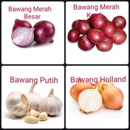 Bawang Besar/Bawang Putih/Bawang Merah/Bawang Holland/Bawang Kecil India Rose 500g±/1kg±