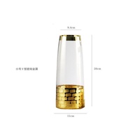 MH Innovative Electroplated Frosted Gold Glass Vase Lucky Bamboo Transparent Hydroponic Vase Straight Cylindrical Vase D