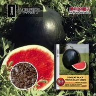 1 Pack (50 Biji) Bibit Semangka Hitam Densuke Non Biji Original Import / Benih tanaman