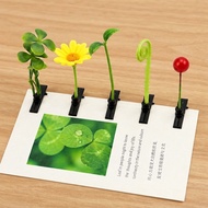 5pcs Klip Rambut Rumput Mini – Pokok Tauge Hiasan