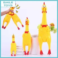 CHILDREN'S TOY SINGING CHICKEN CHICKEN SOUND / CHILDREN'S TOY LAYING CHICKEN