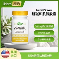 US Imports Nature's Way Nature's Way Choline and Inositol Capsules Protect Liver Kidney Care Brain E