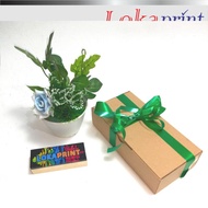 Kardus Box Kotak Hampers 20x10x5 Cocok Untuk Hampers Plakat Wisuda