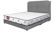 (FREE SHIPPING) ECOlux - FULL SET QUEEN Zucca 10 Inch Chiropractic Spring Mattress + Bedframe Fabric | FREE 2x HOTEL PILLOW | Set Tilam Katil