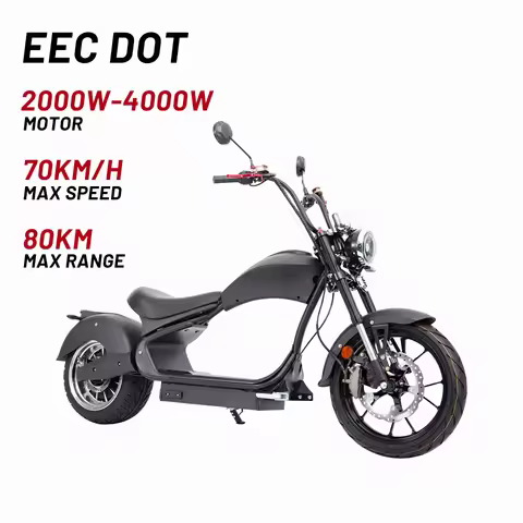 EU COC EEC US DOT Fat Tire Electric Roller Motorcycle Citycoco Scooter Bike For Adults
