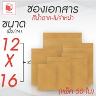 Brown Document Envelope Unaddressed 12x16" (KA125) (Pack Of 50)