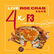 Live Roe Crab (Ketam Telur) F3 (290-390g) x 4crabs Promotion @ Klang Valley