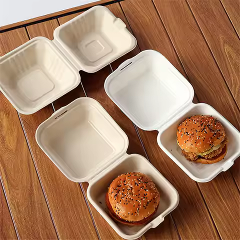Disposable Bento Food Containers Baking Dessert Cake Bowl Packaging Burger Snack Boxes 10pcs Microwa