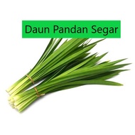 10 HELAI DAUN PANDAN BERSERTA AKAR | PANDAN LEAVES