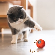 Automatic Cat Teaser For Independent Play USB Rechargeable Convenience For Room Home