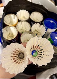 訓練用二手羽毛球 （RSL Supreme, RSL Tourney, Yonex AS 15 etc)