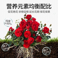 Supply Eight Old Man Dihydrogen Phosphate Potassium Bagged Foliage Fertilizer Water-Soluble Fertiliz