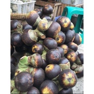 Terlaris Buah Lontar /Siwalan Butiran Pengiriman Bandung Ready Stok