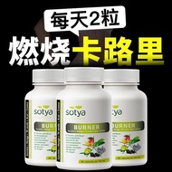 new Weight Loss Lose WeightSotya Spain 550 Calories Upgraded New L-Carnitine Green Tea Extract 60 Ca