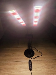 新淨 LED植物燈 補光燈 植物生長燈 高度及方向 都可調校 配4/8/12小時 記憶定時開關 紅光和白光 合多肉植物