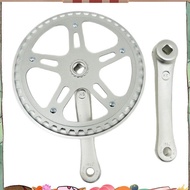 Bicycle Crank Set for Single Chainring Crankset Mountain Bike for Single  Hole Crankset 46T 152MM Ch