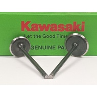 36DJ1004 Valve Kit Rouser180