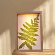 手作押花LED小夜燈 | 文創小夜燈 l 蕨 l 可調式小夜燈