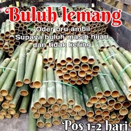 BULUH LEMANG /BULUH BARU/BULUH HIJAU