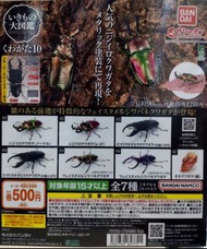 Bandai 
500 Yen 扭蛋 - 動物大圖鑑系列 - 甲蟲 第10 彈 - 鍬形蟲 (價格請注意內文)