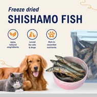 [SG Seller] 100% Natural Freeze Dried Shishamo Fish - Pet Treats for Cats & Dogs