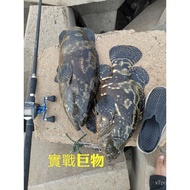 Tiga Mata Kail Mata Kail Enam Kali 6x Diperkukuh Penambat Ikan Mata Kail Memancing Laut Mata Kail Di