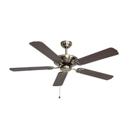 Decorative Ceiling Fan Mt Edma 52in Antique Brass Ceiling Fan with Chain Pull