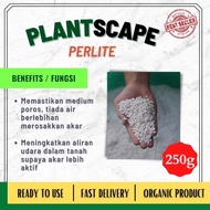 [HIGH QUALITY] Perlite 3-6mm for Cactus Soil Mix, Potting Soil Mix, Succulent, Cactus Gardening Soil