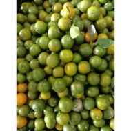 1 kg limau kasturi segar