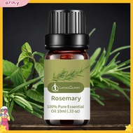 ARINY|  10ML Rosemary Essential Oil Moisturizing Rosemary Single Massage Oil for Beauty