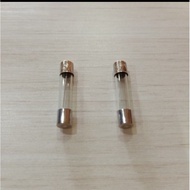 Large 5x30mm Glass Fuse