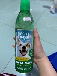 Fresh breath oral care