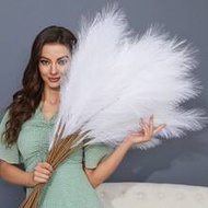 Artificial Pampas Grass Faux Plants Home Decor 100/80/60/50/30/20/15/10/5/1pcs 55cm/97cm White Faux 