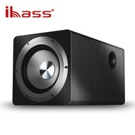iBass 6.5-inch Active Subwoofer, New Multimedia Active Subwoofer for Karaoke and Home Use