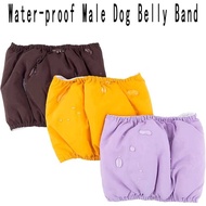 Dog belt cat/ DP-BELT-12
