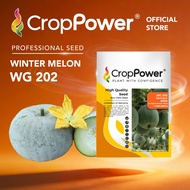(10 GRAM) Biji Benih Kundur Doraemon 小叮当 WG202 CROP POWER Wax Gourd seeds 冬瓜种子 WG 202